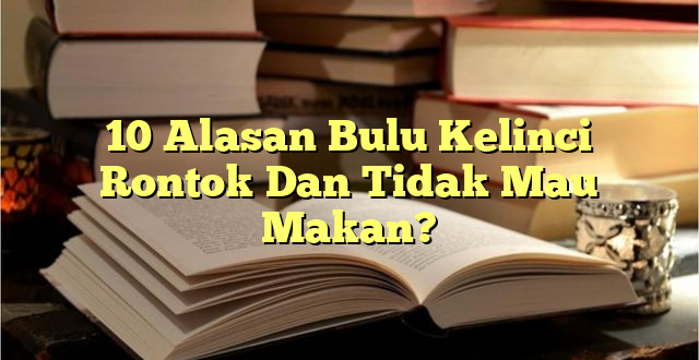 10 Alasan Bulu Kelinci Rontok Dan Tidak Mau Makan?