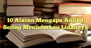 10 Alasan Mengapa Anjing Sering Menjulurkan Lidahnya