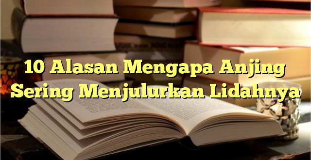 10 Alasan Mengapa Anjing Sering Menjulurkan Lidahnya