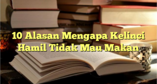 10 Alasan Mengapa Kelinci Hamil Tidak Mau Makan