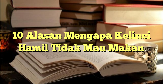 10 Alasan Mengapa Kelinci Hamil Tidak Mau Makan