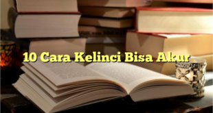 10 Cara Kelinci Bisa Akur