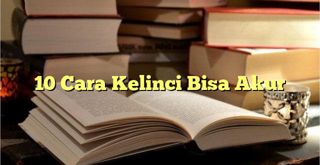 10 Cara Kelinci Bisa Akur