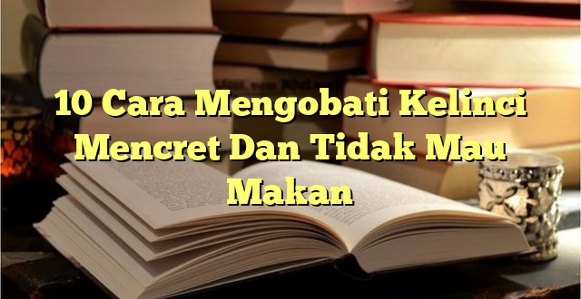 10 Cara Mengobati Kelinci Mencret Dan Tidak Mau Makan