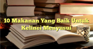 10 Makanan Yang Baik Untuk Kelinci Menyusui