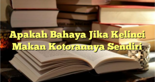 Apakah Bahaya Jika Kelinci Makan Kotorannya Sendiri