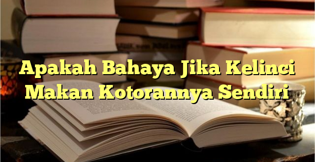 Apakah Bahaya Jika Kelinci Makan Kotorannya Sendiri