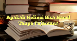 Apakah Kelinci Bisa Hamil Tanpa Pejantan?