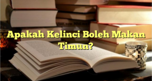 Apakah Kelinci Boleh Makan Timun?