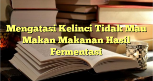 Mengatasi Kelinci Tidak Mau Makan Makanan Hasil Fermentasi